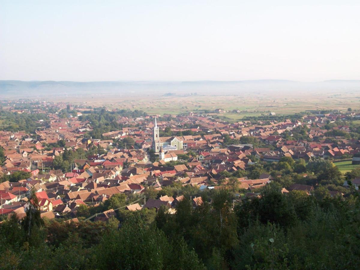 Pensiunea Norica Гура-Рыулуй Экстерьер фото