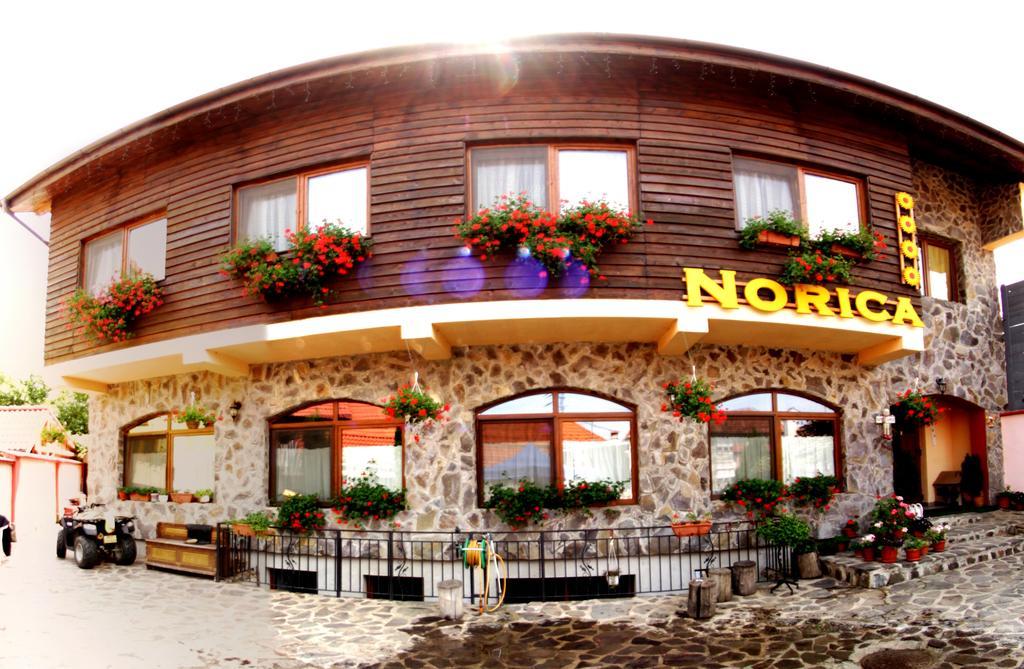 Pensiunea Norica Гура-Рыулуй Экстерьер фото